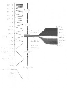 Figure 42